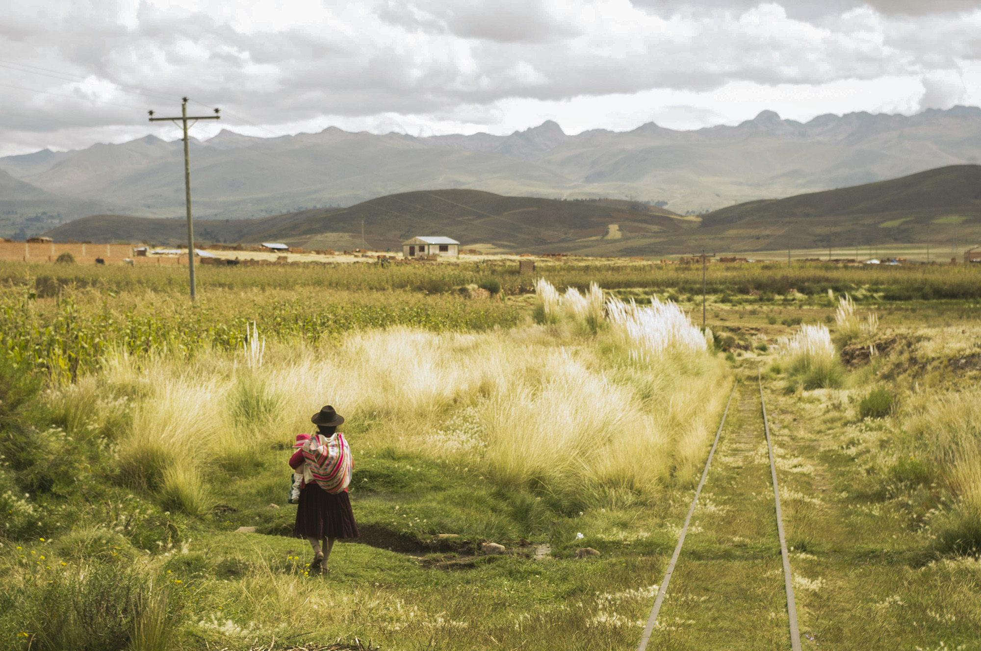 Bolivian Landscapes 4