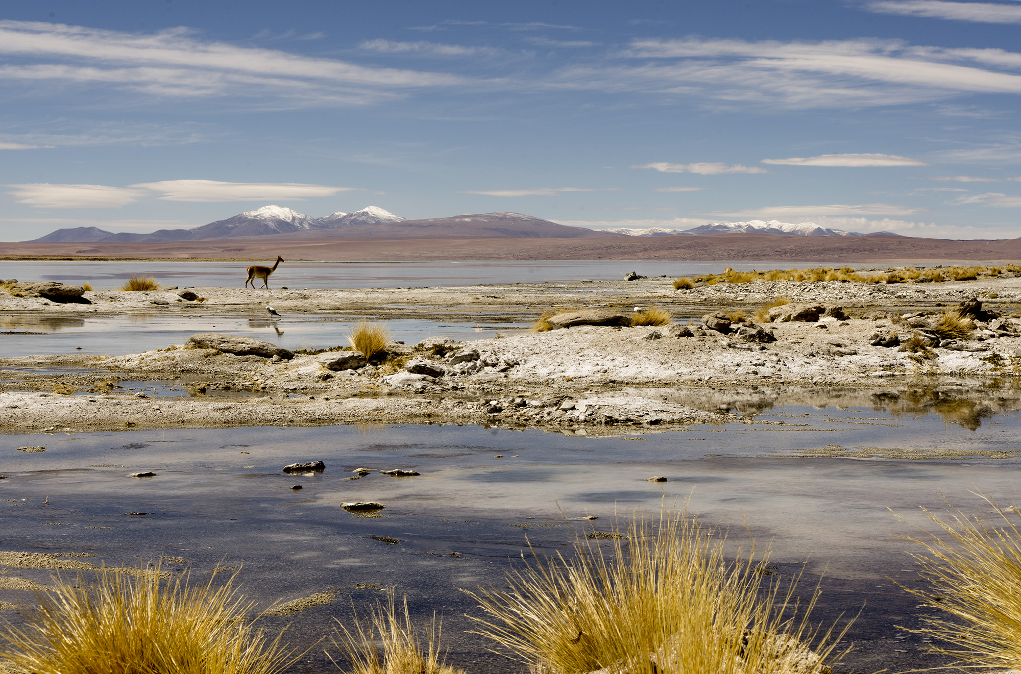 Bolivian Landscapes 6